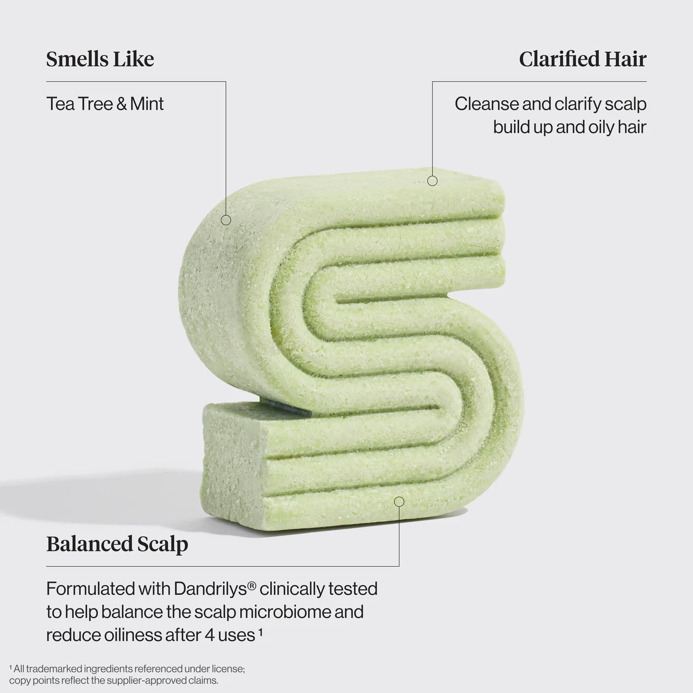 Tea Tree & Mint Clarifying Shampoo Bar