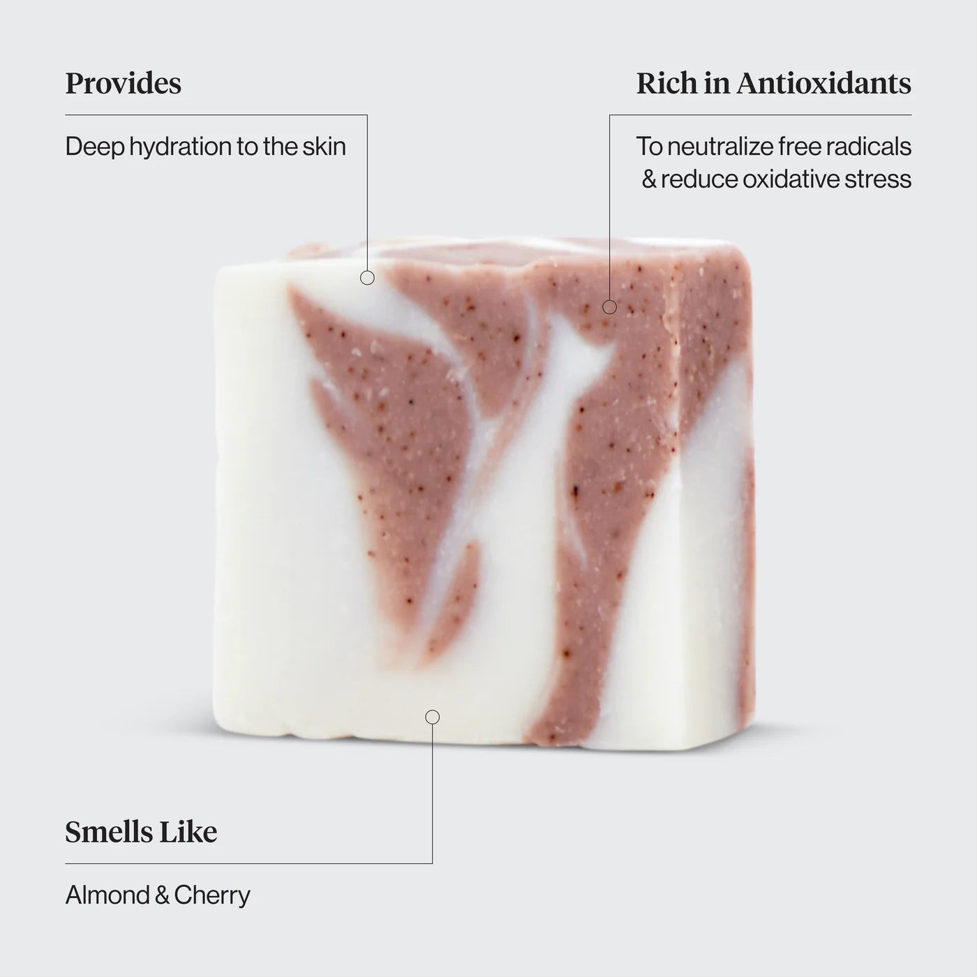 Shea Butter Exfoliating Body Wash